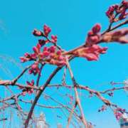 ヒメ日記 2026/03/21 08:57 投稿 まゆ ふわもこ人妻ランド　那須塩原店