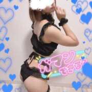 ヒメ日記 2025/10/26 11:14 投稿 れいな 素人巨乳ちゃんこ「東千葉店」