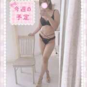 ヒメ日記 2025/11/17 11:20 投稿 れいな 素人巨乳ちゃんこ「東千葉店」