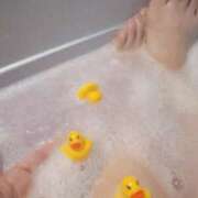 ヒメ日記 2025/12/11 12:59 投稿 れいな 素人巨乳ちゃんこ「東千葉店」