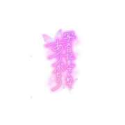 ヒメ日記 2025/12/14 11:12 投稿 舞坂みさき お姉さんCLUB