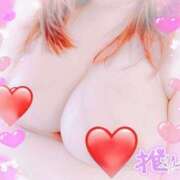 ヒメ日記 2025/06/04 07:02 投稿 りっか☆ 豊橋豊川ちゃんこ