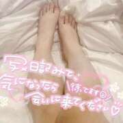 ヒメ日記 2025/05/26 16:08 投稿 かな ぷよラブ れぼりゅ～しょん