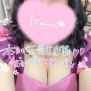 ヒメ日記 2025/06/07 12:27 投稿 かな ぷよラブ れぼりゅ～しょん