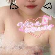 ヒメ日記 2025/06/14 15:35 投稿 かな ぷよラブ れぼりゅ～しょん