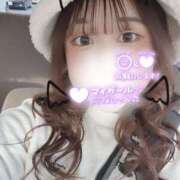 ヒメ日記 2025/07/01 12:33 投稿 かな ぷよラブ れぼりゅ～しょん