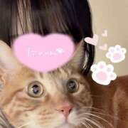 ヒメ日記 2025/06/02 09:15 投稿 まゆか CECIL