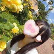 ヒメ日記 2025/06/06 09:15 投稿 まゆか CECIL