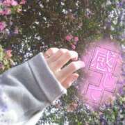 ヒメ日記 2025/06/16 06:00 投稿 まゆか CECIL