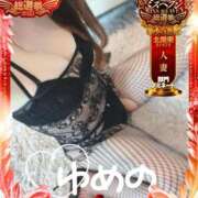 ヒメ日記 2025/11/12 12:04 投稿 夢乃(ゆめの) 可憐な妻たち 太田店