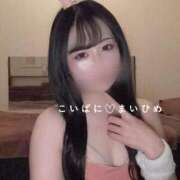 ヒメ日記 2025/06/02 15:01 投稿 まいひめ 恋するバニー