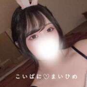 ヒメ日記 2025/06/07 14:31 投稿 まいひめ 恋するバニー