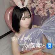 ヒメ日記 2025/07/14 22:19 投稿 まいひめ 恋するバニー