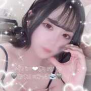 ヒメ日記 2025/08/24 09:49 投稿 まいひめ 恋するバニー