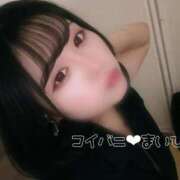 ヒメ日記 2025/08/25 14:07 投稿 まいひめ 恋するバニー