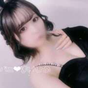 ヒメ日記 2025/08/29 19:57 投稿 まいひめ 恋するバニー