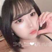 ヒメ日記 2025/09/07 17:01 投稿 まいひめ 恋するバニー