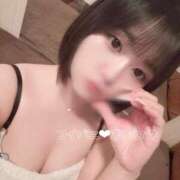 ヒメ日記 2025/09/08 13:46 投稿 まいひめ 恋するバニー