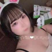 ヒメ日記 2025/09/21 14:11 投稿 まいひめ 恋するバニー