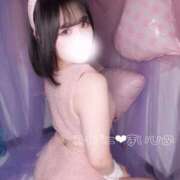 ヒメ日記 2025/10/01 11:00 投稿 まいひめ 恋するバニー