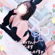 ヒメ日記 2025/10/01 15:51 投稿 まいひめ 恋するバニー