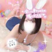 ヒメ日記 2025/10/03 20:00 投稿 まいひめ 恋するバニー