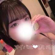 ヒメ日記 2025/10/07 17:20 投稿 まいひめ 恋するバニー