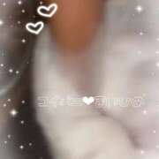 ヒメ日記 2025/10/08 15:50 投稿 まいひめ 恋するバニー