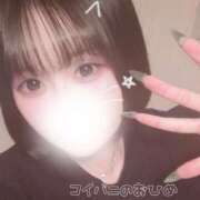 ヒメ日記 2025/10/29 15:57 投稿 まいひめ 恋するバニー