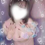 ヒメ日記 2025/11/08 15:48 投稿 まいひめ 恋するバニー