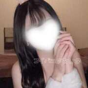 ヒメ日記 2025/11/15 12:00 投稿 まいひめ 恋するバニー