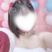 まいひめ ♥️あのねあのねあのね！？♥️ 恋するバニー