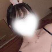 ヒメ日記 2026/01/24 10:32 投稿 まいひめ 恋するバニー