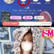 ヒメ日記 2026/03/19 13:30 投稿 しほ One More奥様　横浜関内店