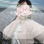 ヒメ日記 2025/11/11 12:18 投稿 愛川　さくら 出張メンズエステ ロマンスSPA 奈良