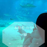 愛川　さくら 📮本指名 75分 F様♡ 出張メンズエステ ロマンスSPA 奈良