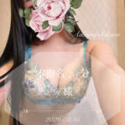 ヒメ日記 2026/02/20 17:40 投稿 愛川　さくら 出張メンズエステ ロマンスSPA 奈良