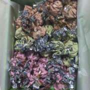 ヒメ日記 2026/04/04 18:31 投稿 ふうこ ぷよラブ