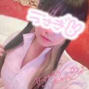 ヒメ日記 2025/12/18 01:29 投稿 えむ IRIS一宮