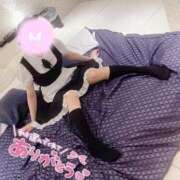 ヒメ日記 2026/01/29 14:42 投稿 えむ IRIS一宮