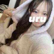 ヒメ日記 2025/09/30 00:36 投稿 うる 舐めていいとも！柏店