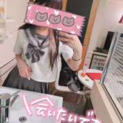 ヒメ日記 2025/12/17 00:45 投稿 えむ IRIS(岐阜)