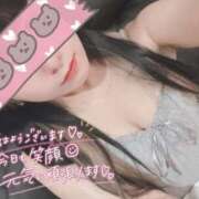 ヒメ日記 2025/12/19 10:35 投稿 えむ IRIS(岐阜)