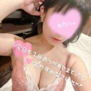 ヒメ日記 2025/12/20 04:26 投稿 えむ IRIS(岐阜)