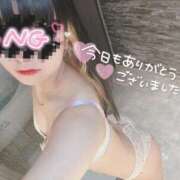 ヒメ日記 2026/01/28 02:45 投稿 えむ IRIS(岐阜)