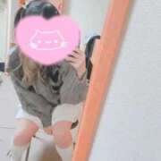 ヒメ日記 2026/01/28 17:45 投稿 えむ IRIS(岐阜)