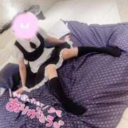 ヒメ日記 2026/01/29 14:34 投稿 えむ IRIS(岐阜)