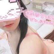 ヒメ日記 2026/03/08 17:35 投稿 えむ IRIS(岐阜)