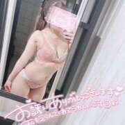 ヒメ日記 2026/03/11 20:55 投稿 えむ IRIS(岐阜)