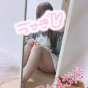 ヒメ日記 2026/03/12 20:57 投稿 えむ IRIS(岐阜)